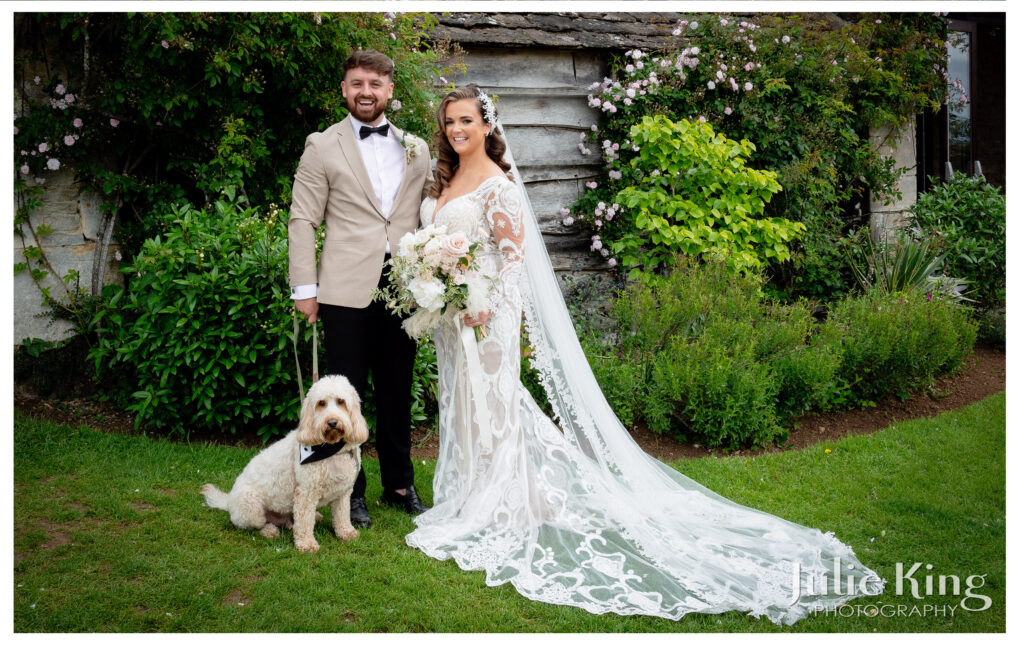 Dogs at weddings, Julie King Photography