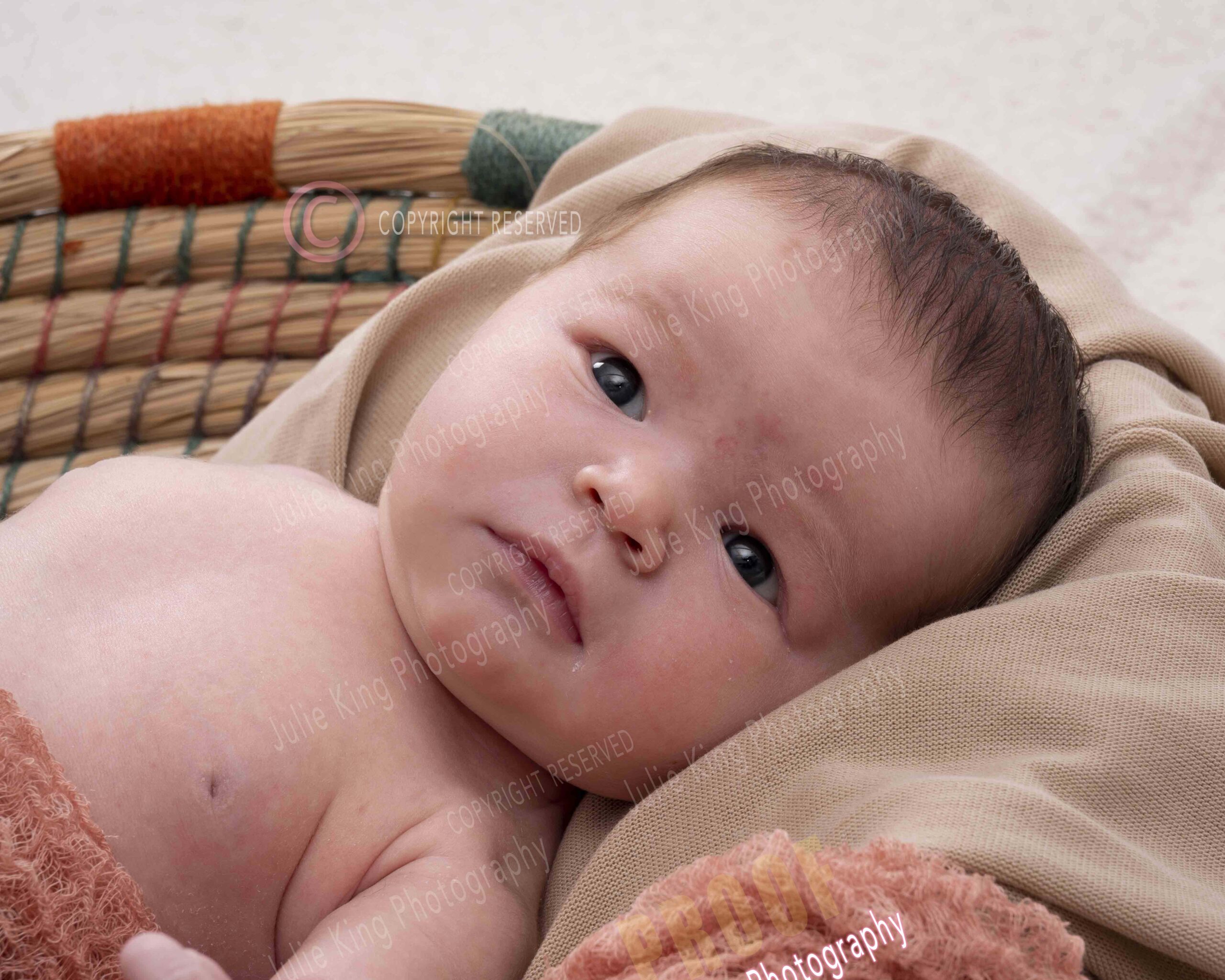 Newborn and Family portraits Stourbridge