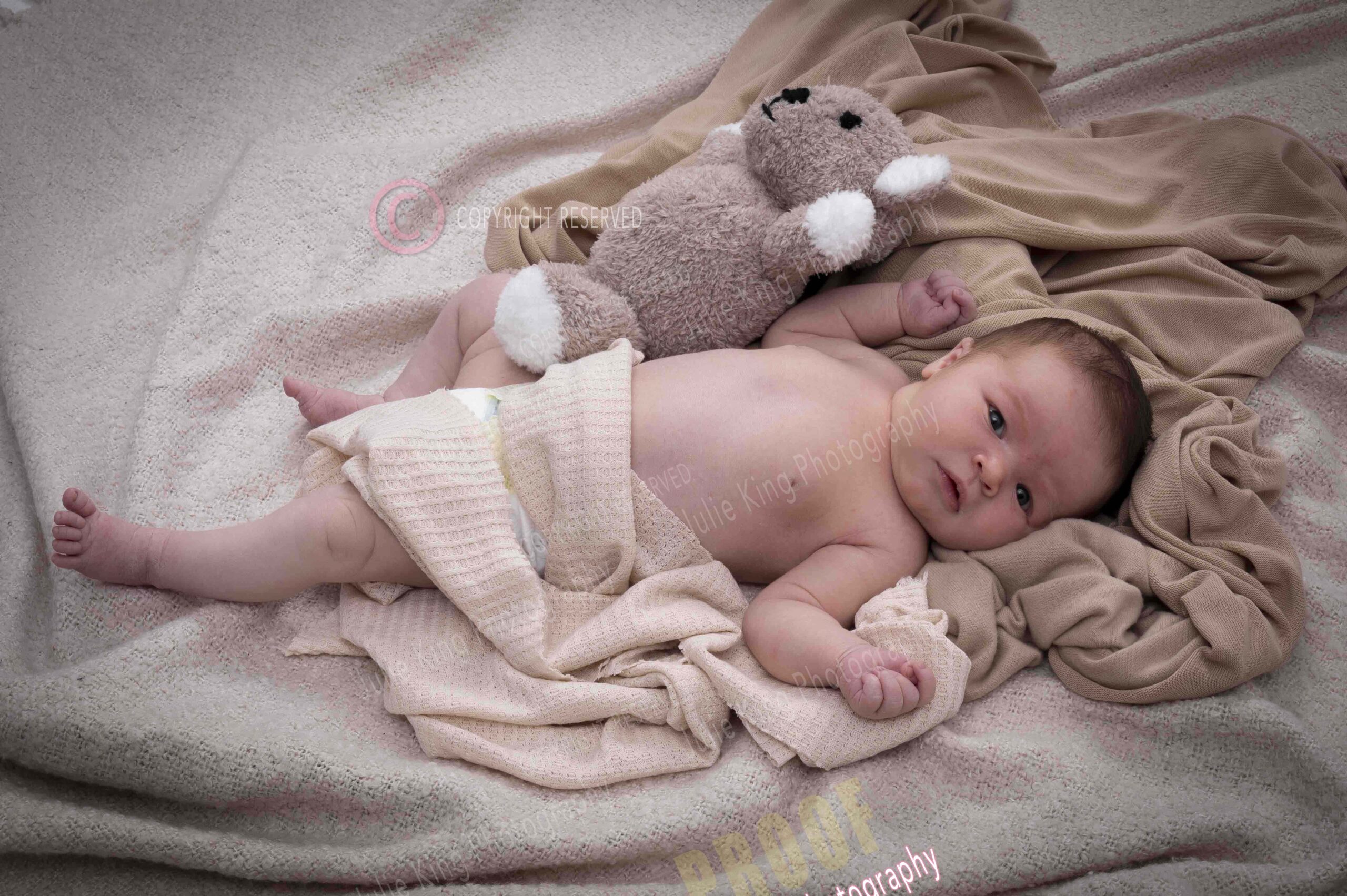 Black and White Newborn portraits