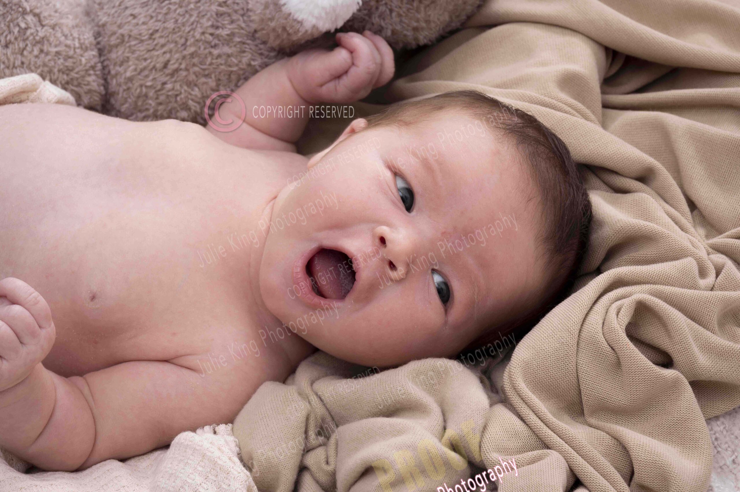 Black and White Newborn portraits