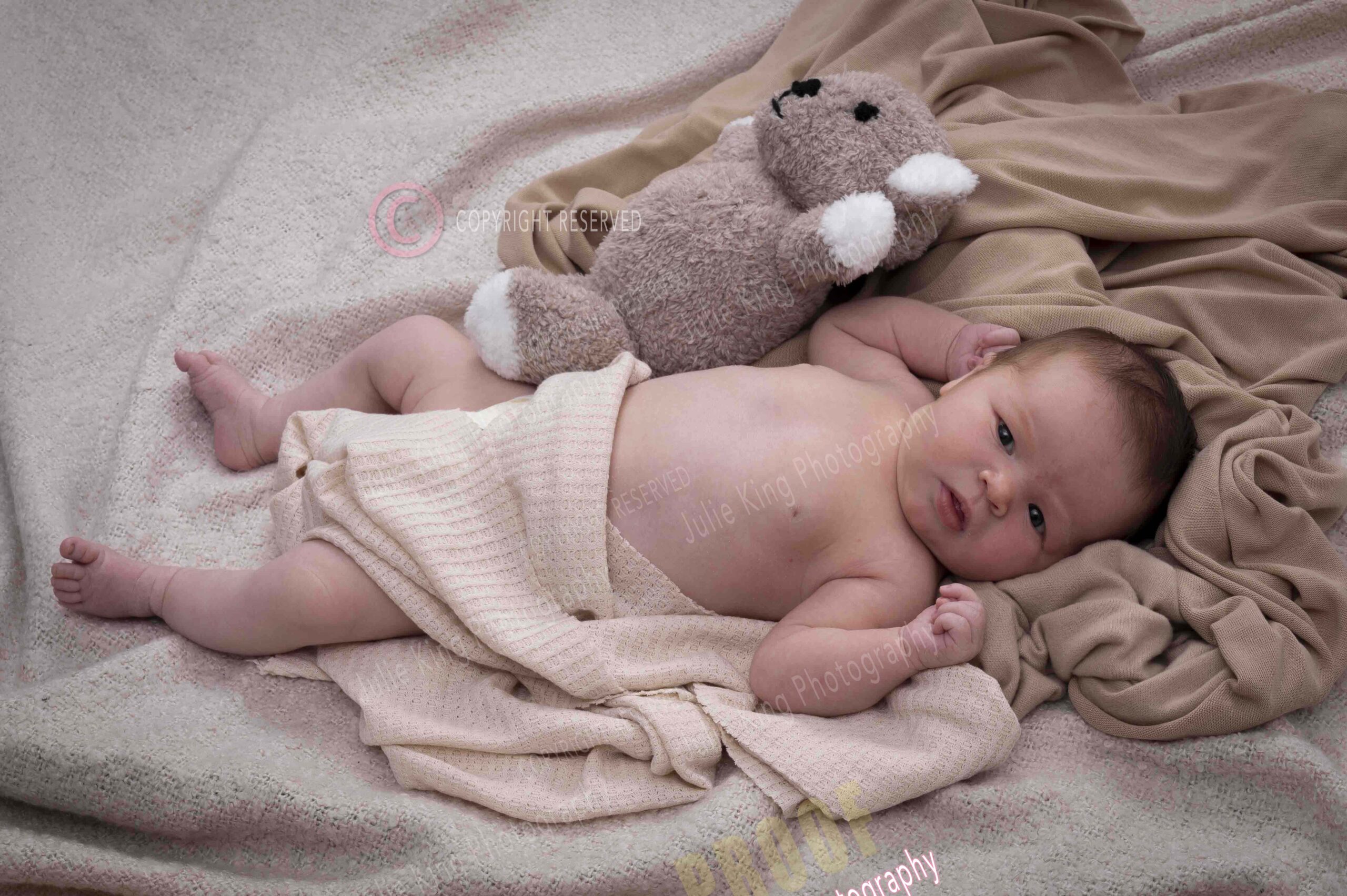Black and White Newborn portraits